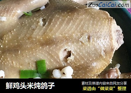 鲜鸡头米炖鸽子