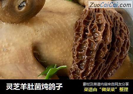 灵芝羊肚菌炖鸽子