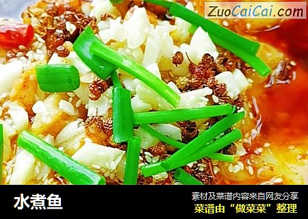 水煮鱼