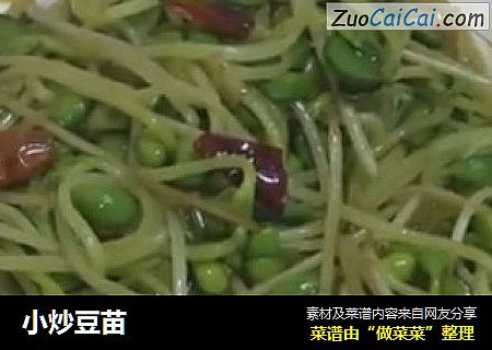 小炒豆苗