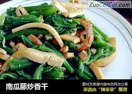 南瓜藤炒香干