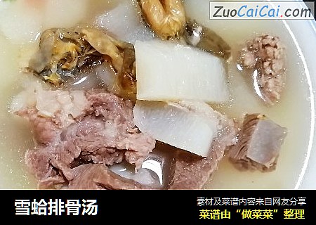 雪蛤排骨汤