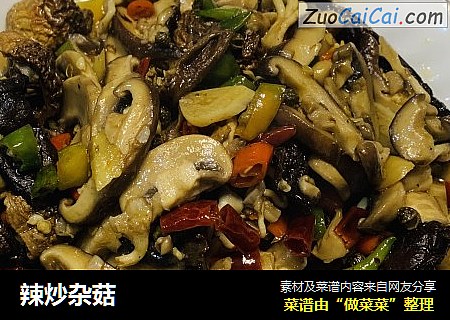 辣炒杂菇