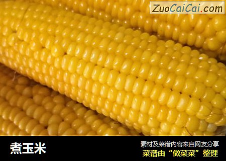 煮玉米