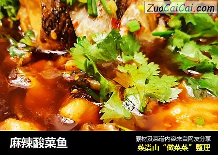 麻辣酸菜鱼