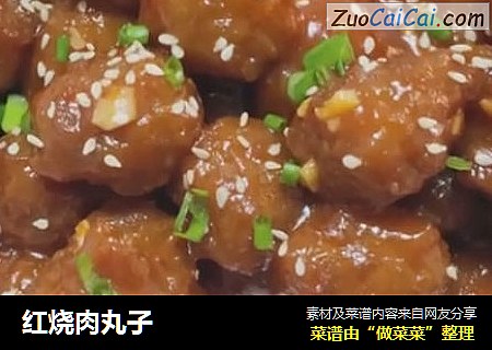红烧肉丸子