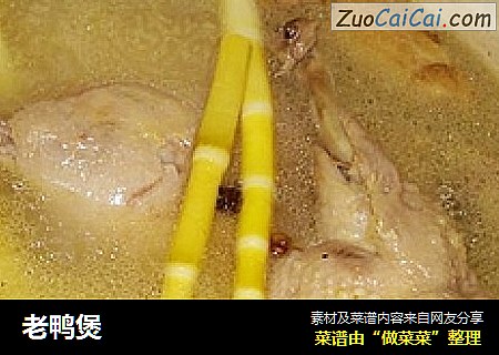 老鸭煲