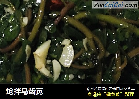 炝拌马齿苋