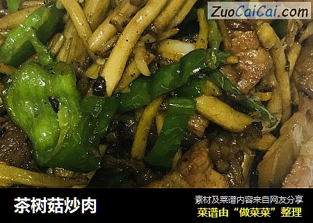 茶树菇炒肉
