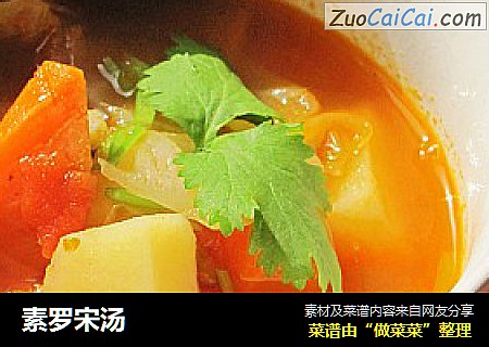 素罗宋汤