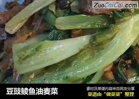 豆豉鲮鱼油麦菜