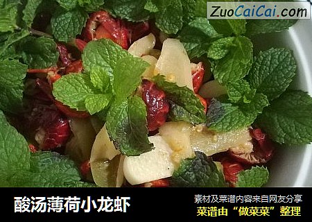 酸汤薄荷小龙虾