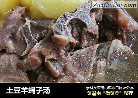 土豆羊蝎子汤