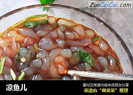 凉鱼儿