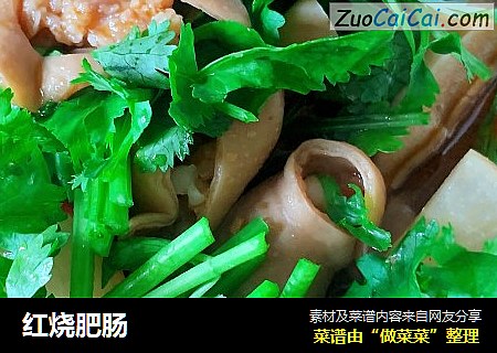 红烧肥肠