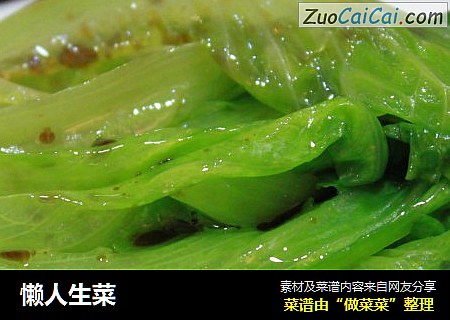 懒人生菜