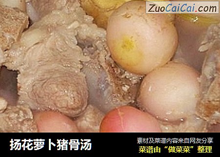 扬花萝卜猪骨汤