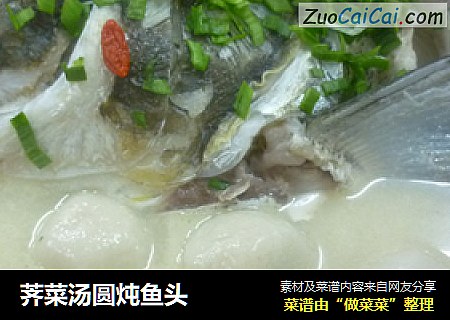 荠菜汤圆炖鱼头