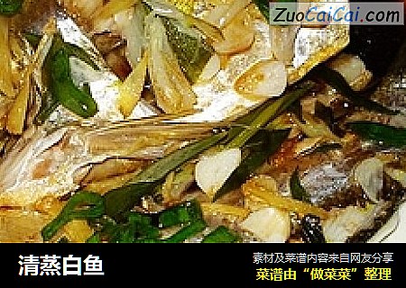 清蒸白鱼