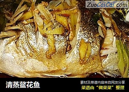 清蒸鳌花鱼