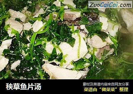 秧草鱼片汤