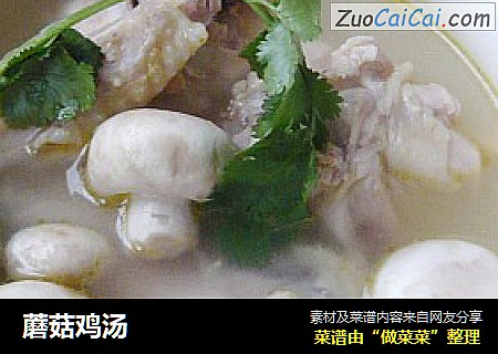 蘑菇鸡汤