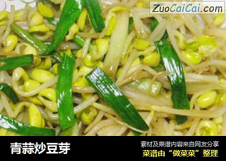 青蒜炒豆芽