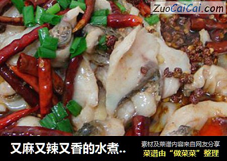 又麻又辣又香的水煮鱼，手把手教你做