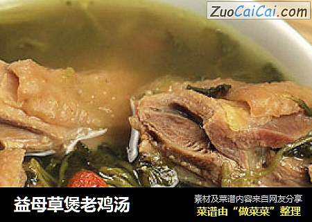 益母草煲老鸡汤