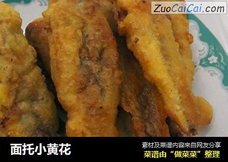 面托小黄花