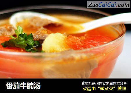 番茄牛腩汤