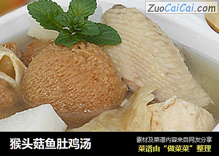 猴头菇鱼肚鸡汤