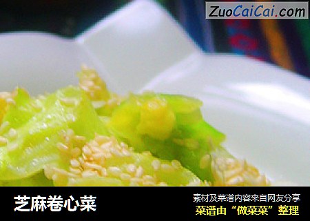 芝麻卷心菜