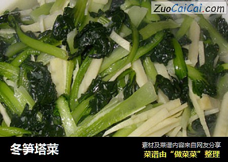 冬笋塔菜