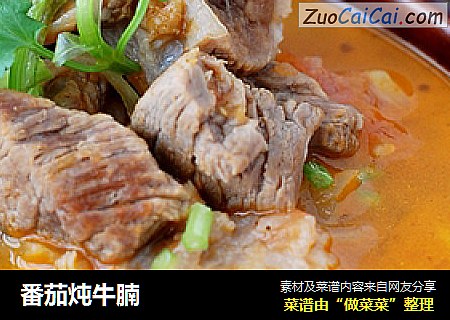 番茄炖牛腩