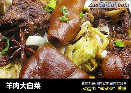 羊肉大白菜
