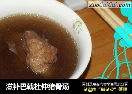 滋补巴戟杜仲猪骨汤