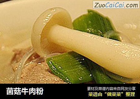 菌菇牛肉粉