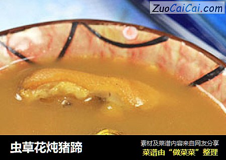 虫草花炖猪蹄