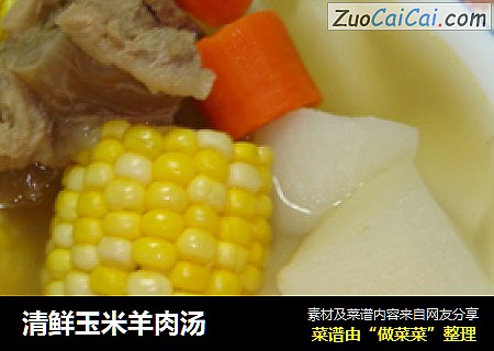 清鲜玉米羊肉汤