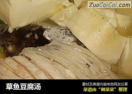 草鱼豆腐汤