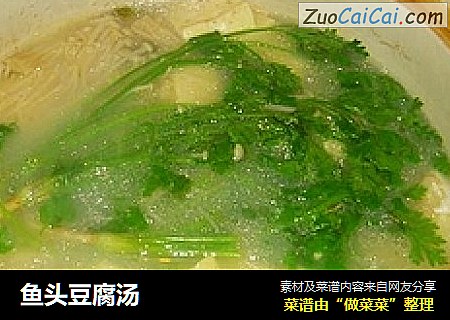 鱼头豆腐汤