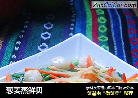葱姜蒸鲜贝