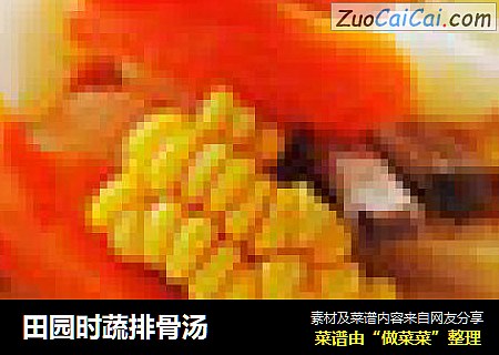 田园时蔬排骨汤