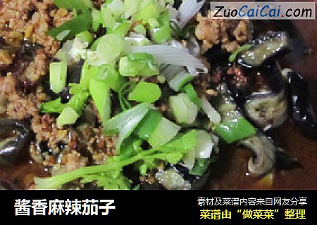 酱香麻辣茄子