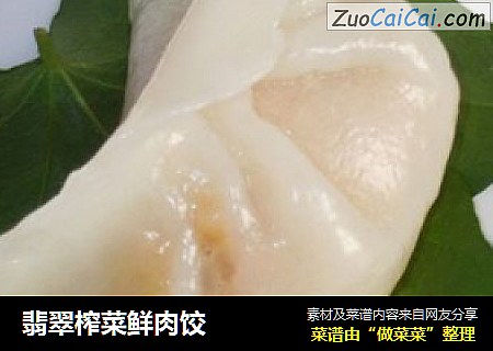 翡翠榨菜鲜肉饺