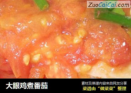 大眼鸡煮番茄