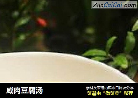 咸肉豆腐汤