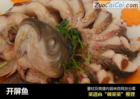 开屏鱼