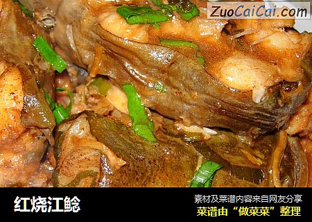 红烧江鲶